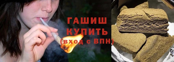 шишки Арсеньев