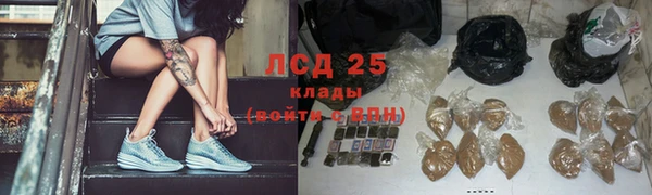 шишки Арсеньев