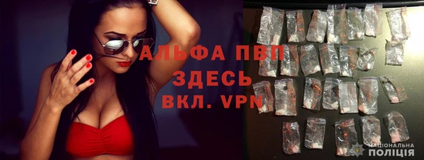 шишки Арсеньев