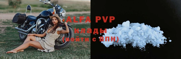 шишки Арсеньев