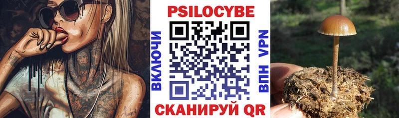 Галлюциногенные грибы MAGIC MUSHROOMS  Белово 