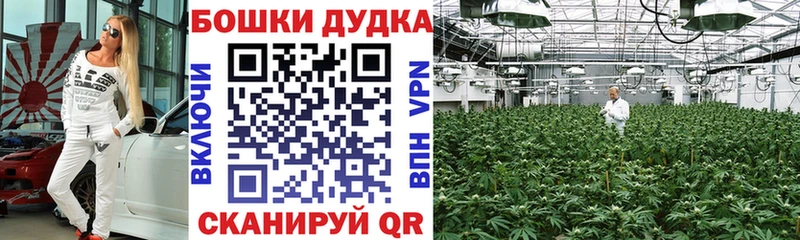 Марихуана OG Kush Белово
